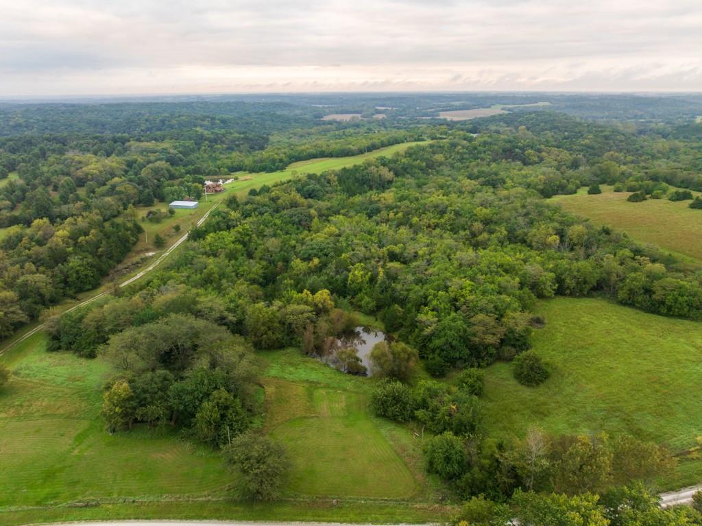 4281 Old Havana Trail Property Photo 7