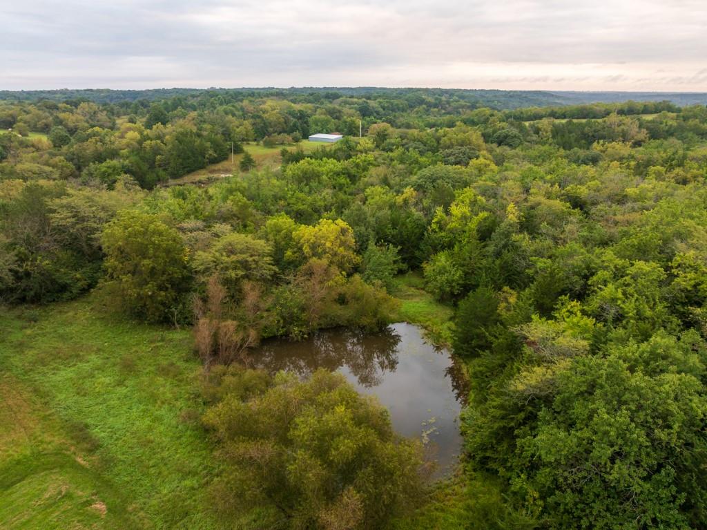 4281 Old Havana Trail Property Photo 9