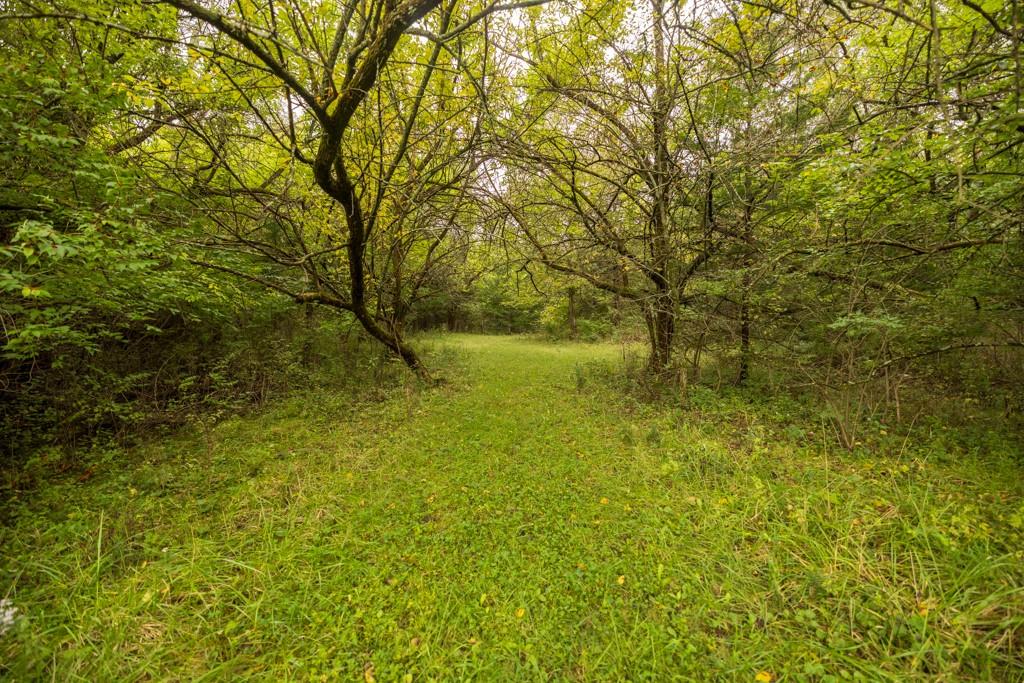 4281 Old Havana Trail Property Photo 66
