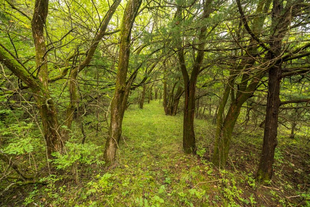 4281 Old Havana Trail Property Photo 68