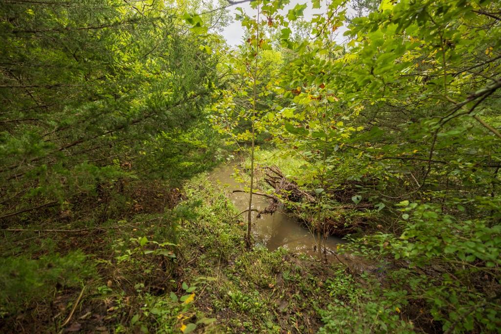 4281 Old Havana Trail Property Photo 69