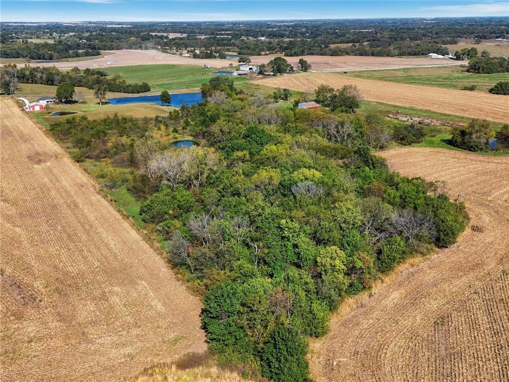 12770 Mount Tabor Road Property Photo 37