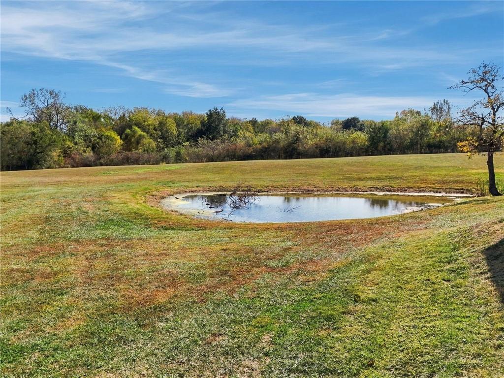 12770 Mount Tabor Road Property Photo 41