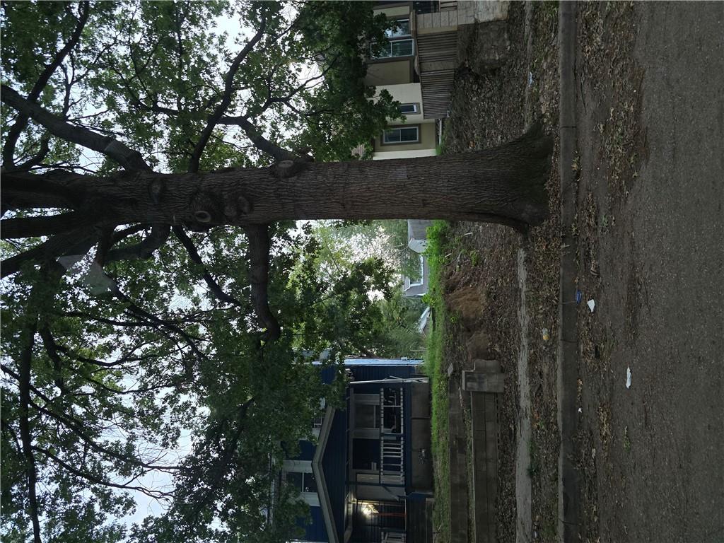 3909 Morrell Avenue Property Photo 3