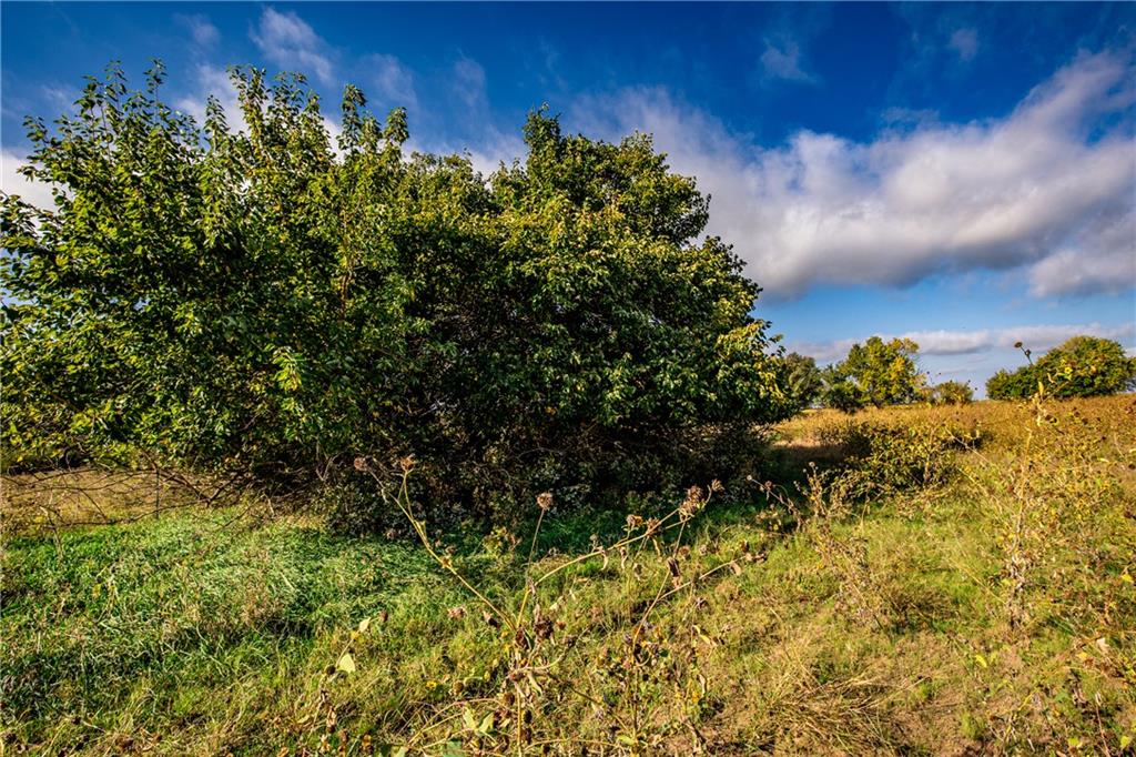 2275 California Road Property Photo 24