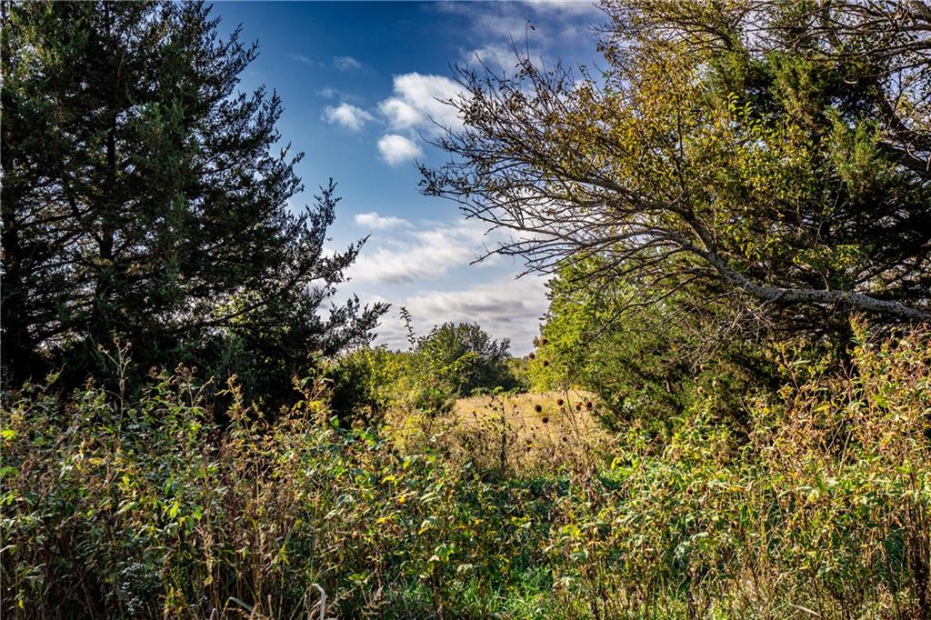 2275 California Road Property Photo 27