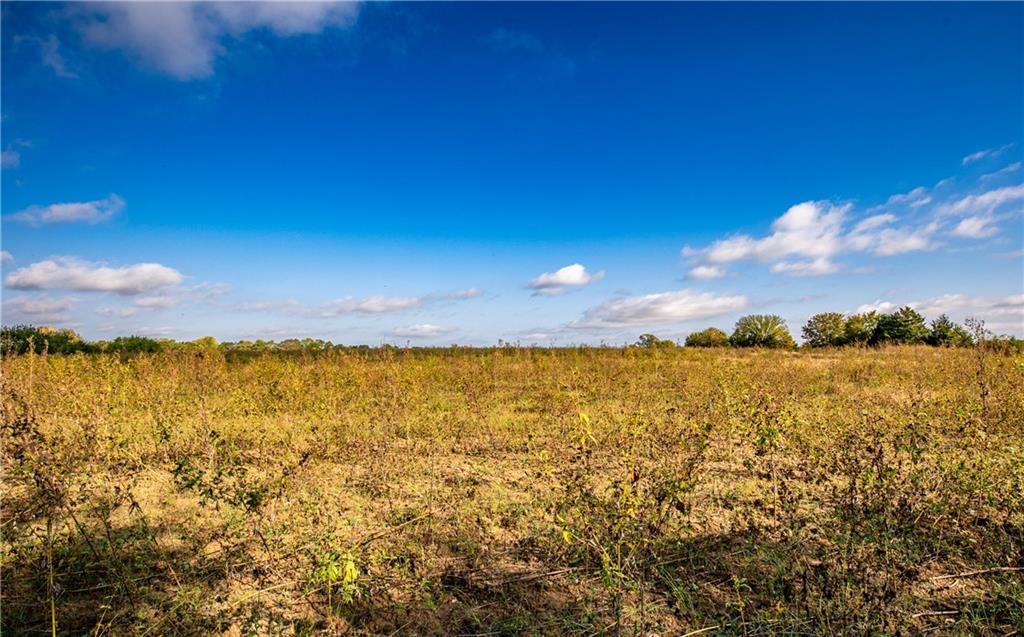 2275 California Road Property Photo 33