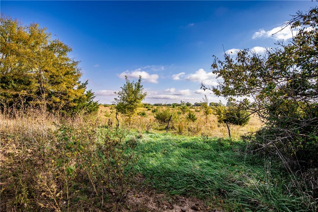 2275 California Road Property Photo 35