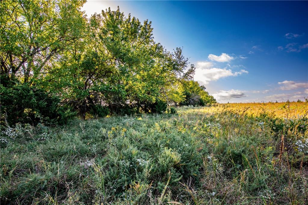 2275 California Road Property Photo 45
