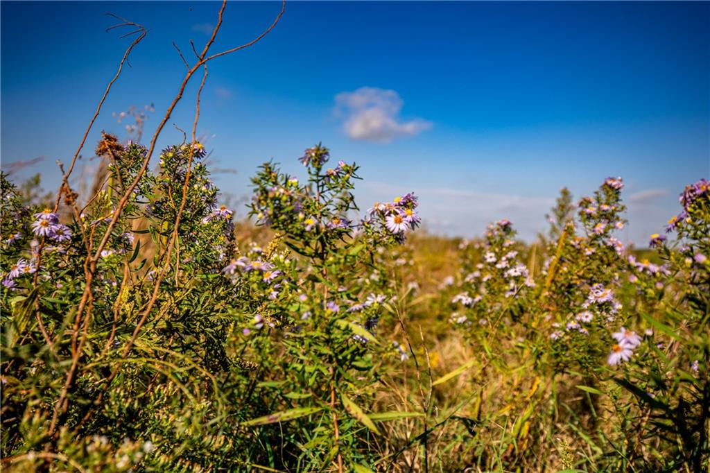 2275 California Road Property Photo 46