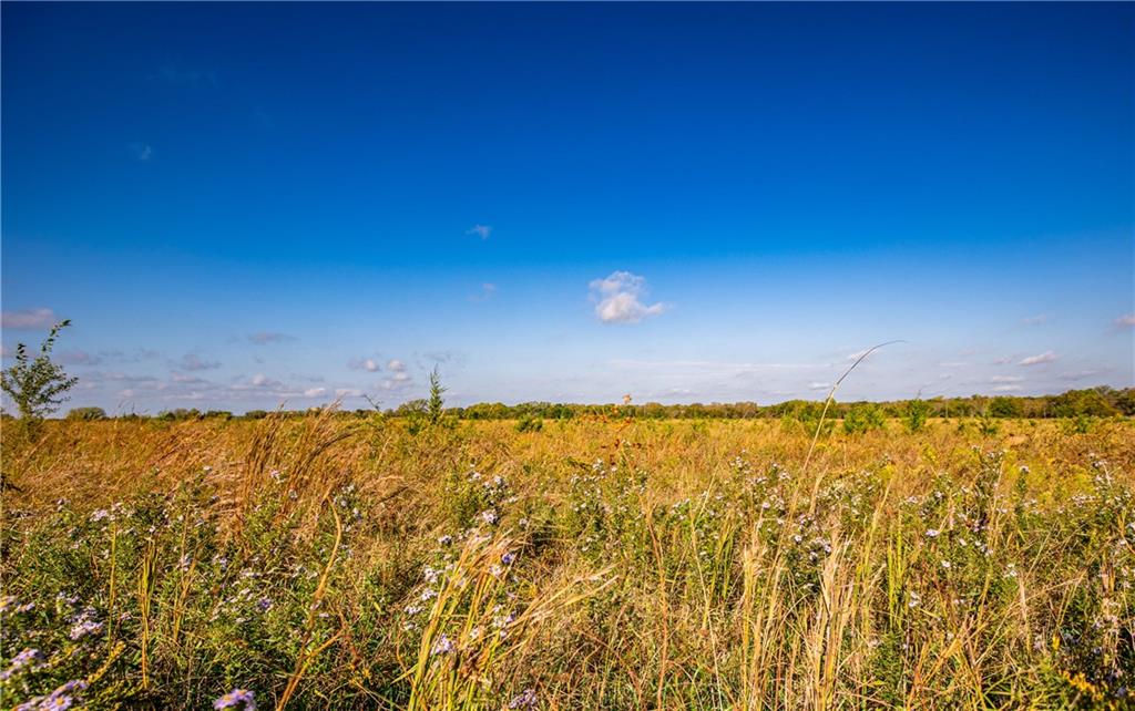2275 California Road Property Photo 47