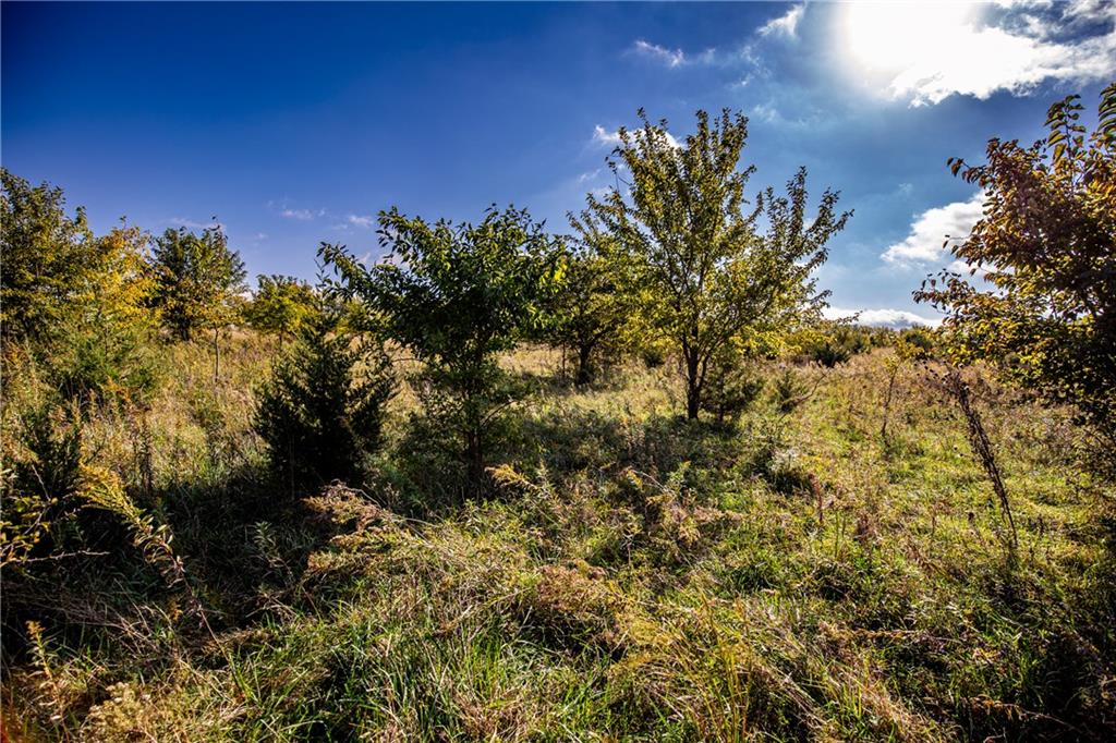 2275 California Road Property Photo 52