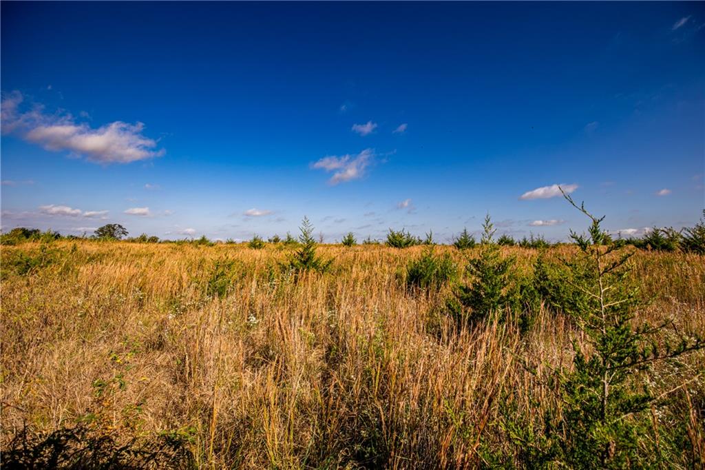 2275 California Road Property Photo 59
