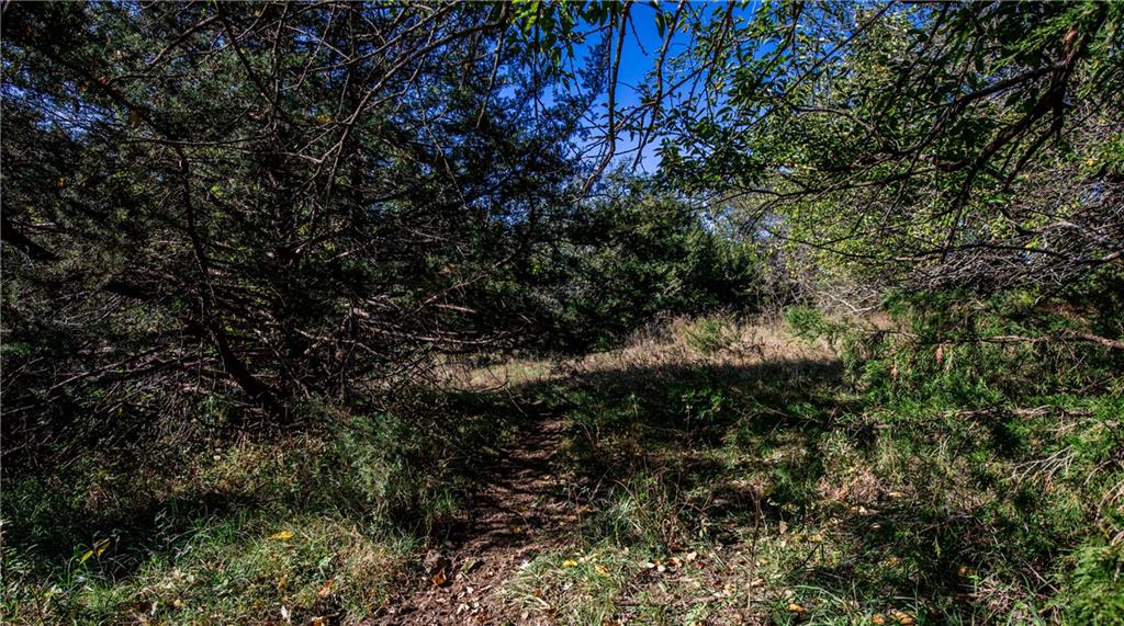 2275 California Road Property Photo 63
