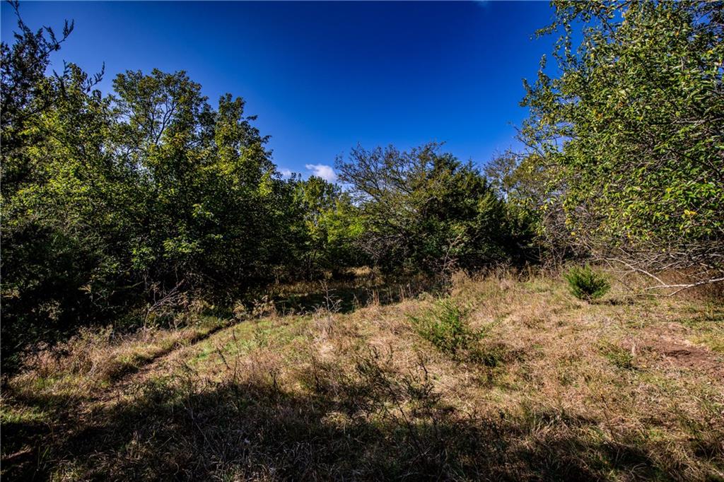 2275 California Road Property Photo 64