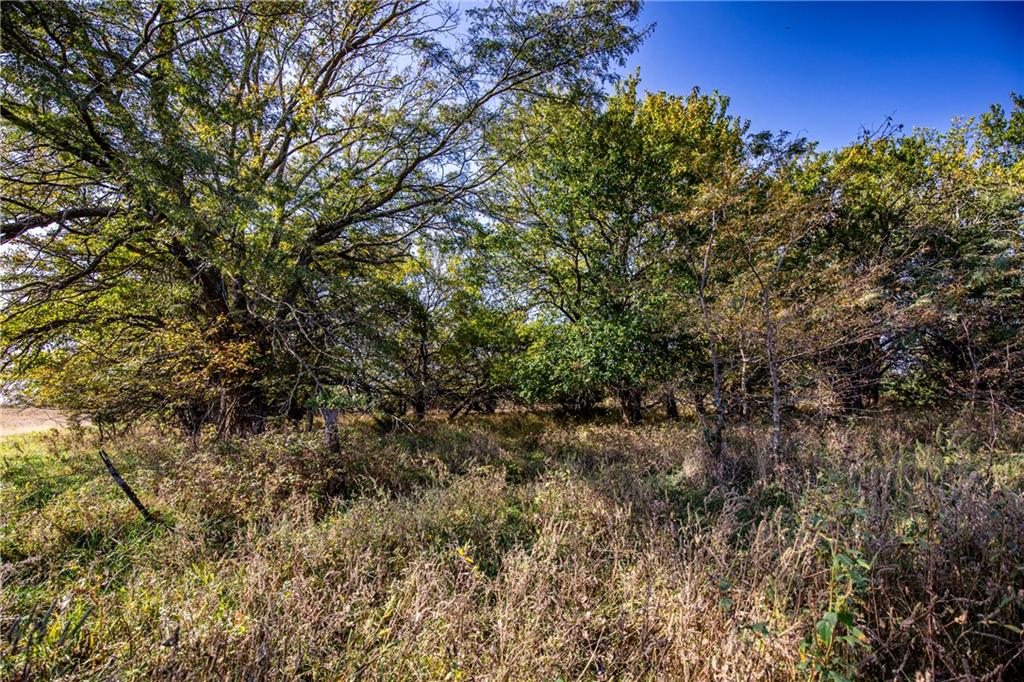2275 California Road Property Photo 65