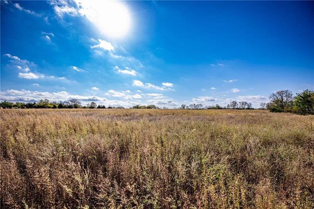 2275 California Road Property Photo 66