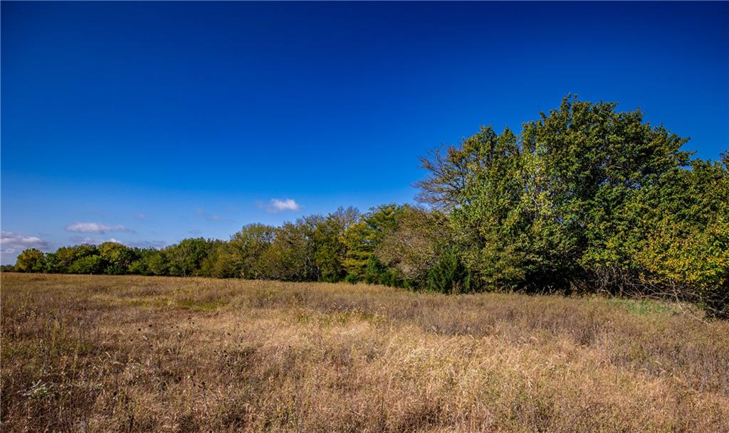 2275 California Road Property Photo 67