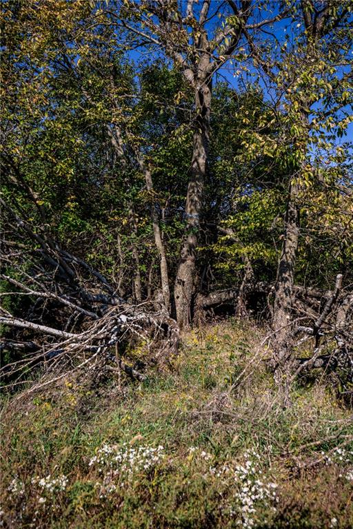 2275 California Road Property Photo 68