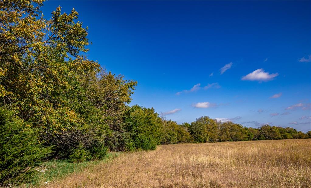 2275 California Road Property Photo 71