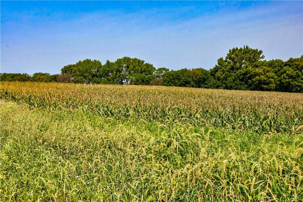 242nd Road Property Photo 10
