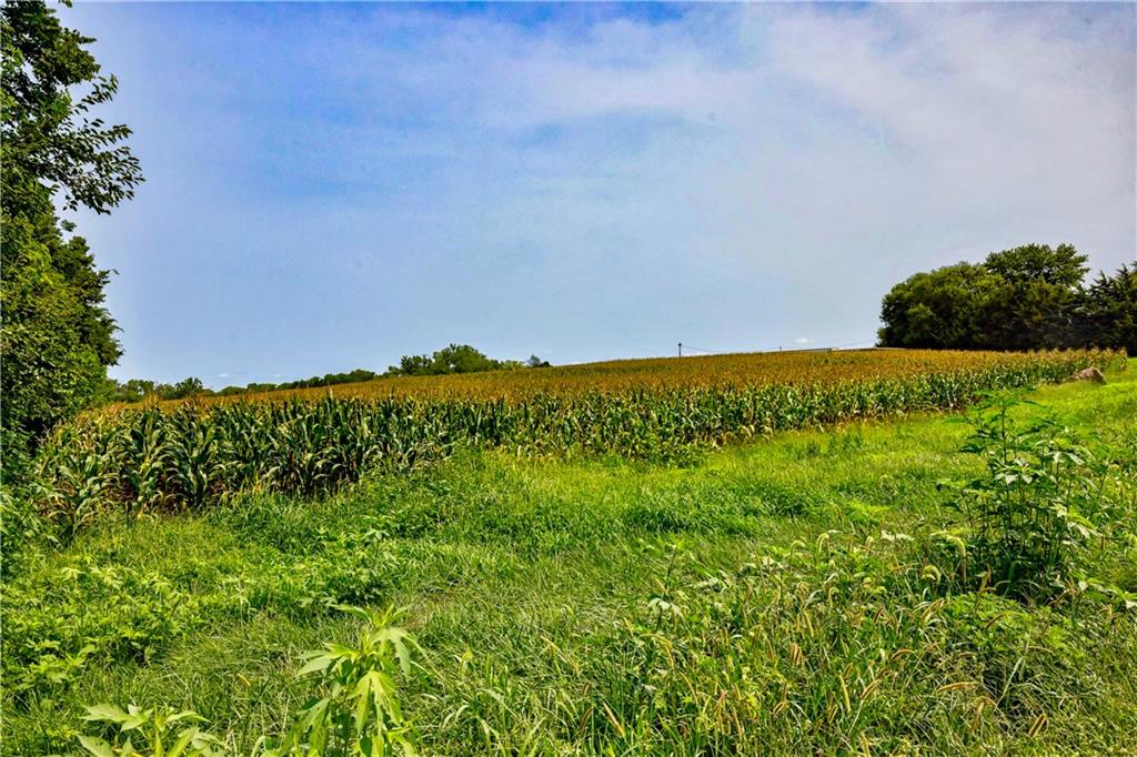 242nd Road Property Photo 11
