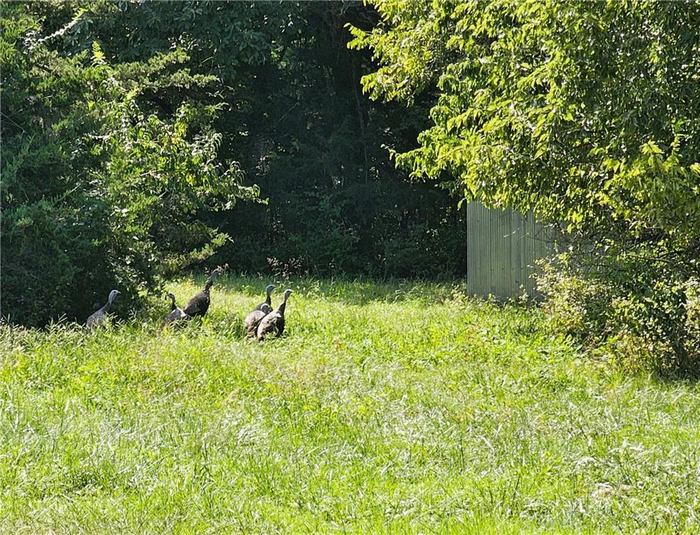 12580 S Red Bird Lane Property Photo 36