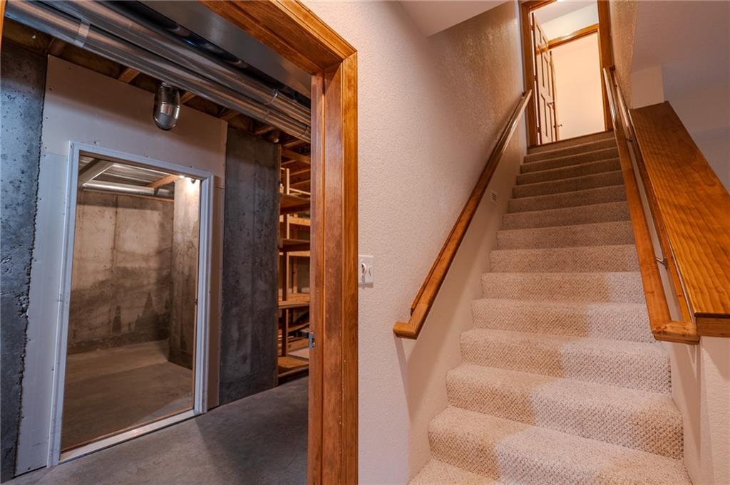 4113 Blackjack Oak Drive Property Photo 49