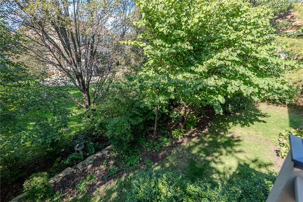 4113 Blackjack Oak Drive Property Photo 63