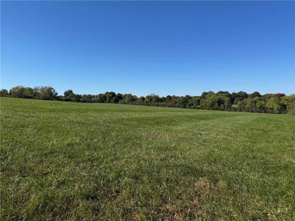 24705 Cowherd Road Property Photo 8