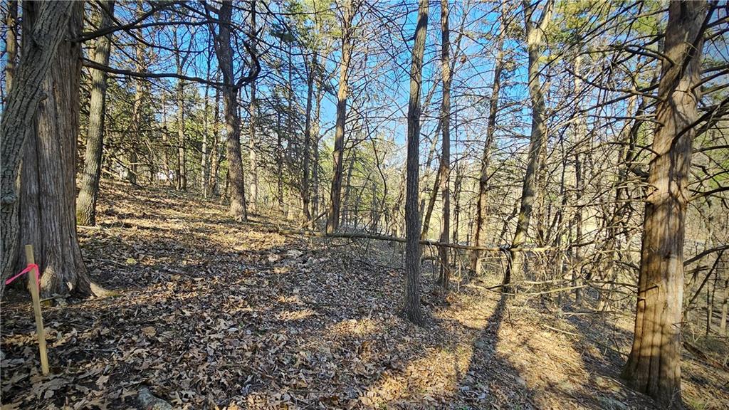 74 S Orchard Lane Property Photo 8
