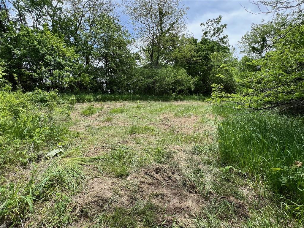 00 Brady Creek Road Property Photo 2