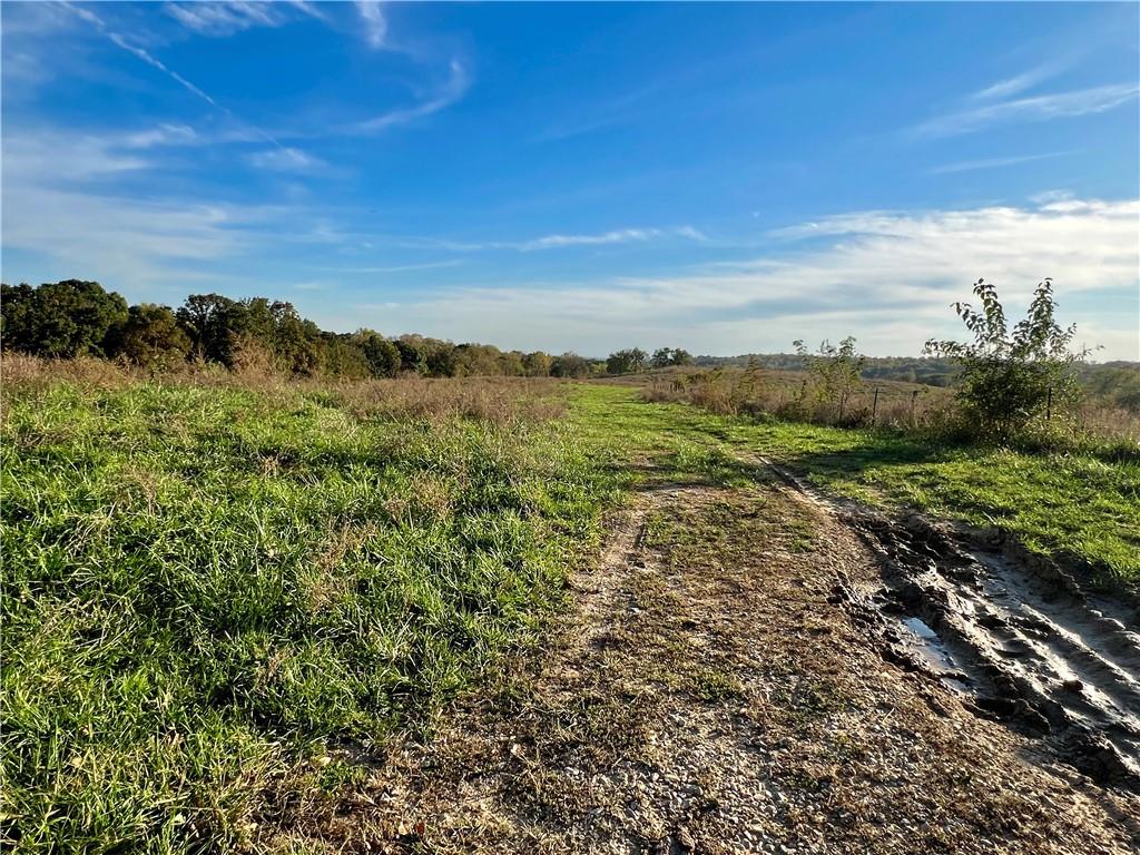 00 Brady Creek Road Property Photo 4