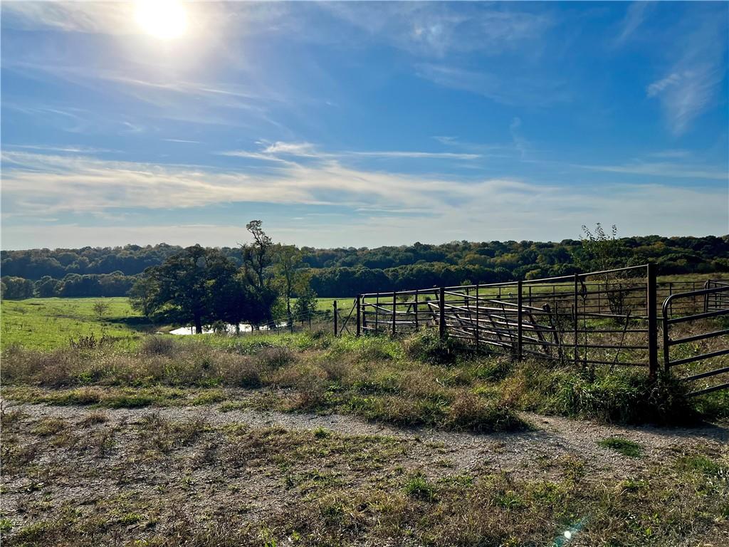 00 Brady Creek Road Property Photo 8