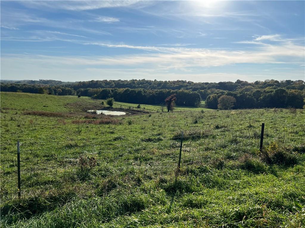 00 Brady Creek Road Property Photo 9
