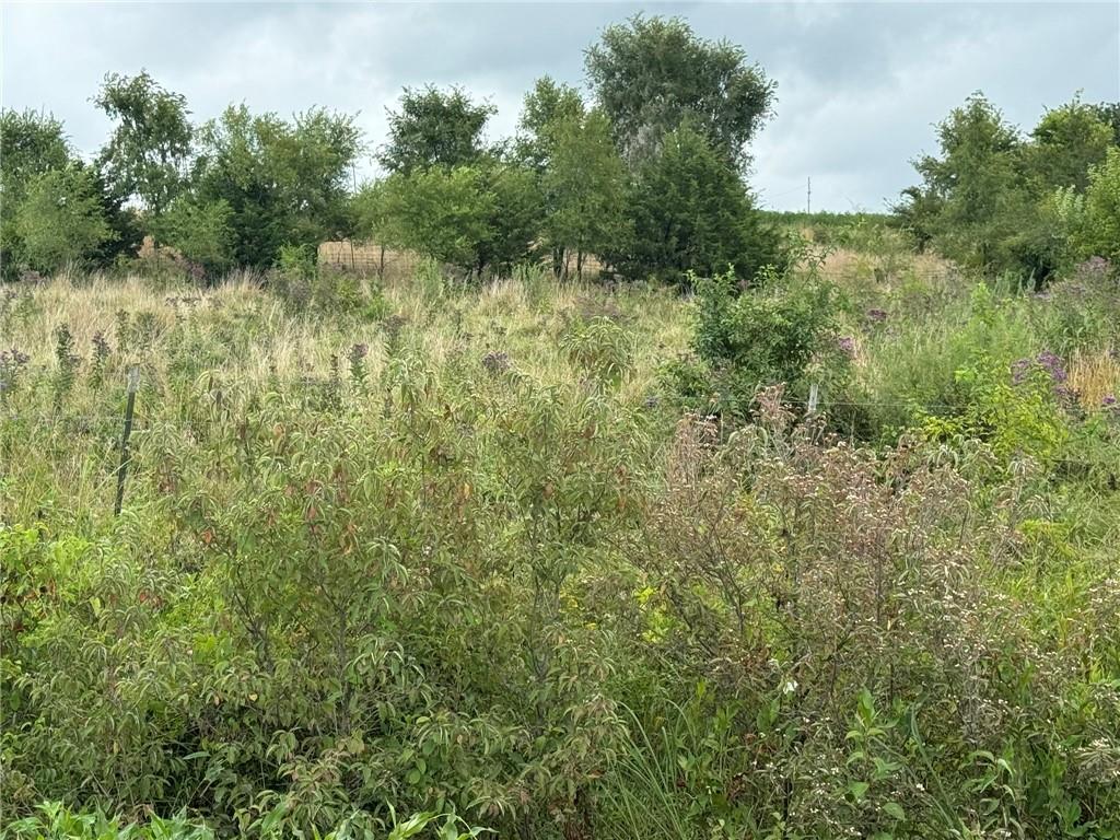 Indianapolis N/a Property Photo 2
