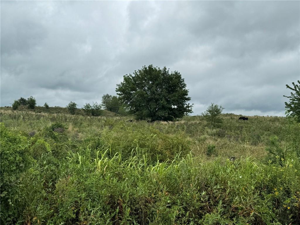 Indianapolis N/a Property Photo 5