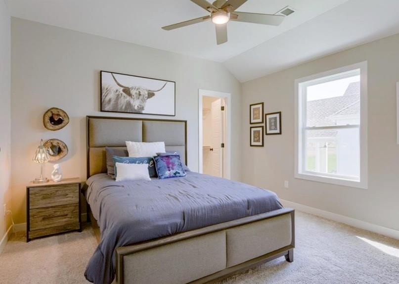 9300 Zarda Drive Property Photo 26