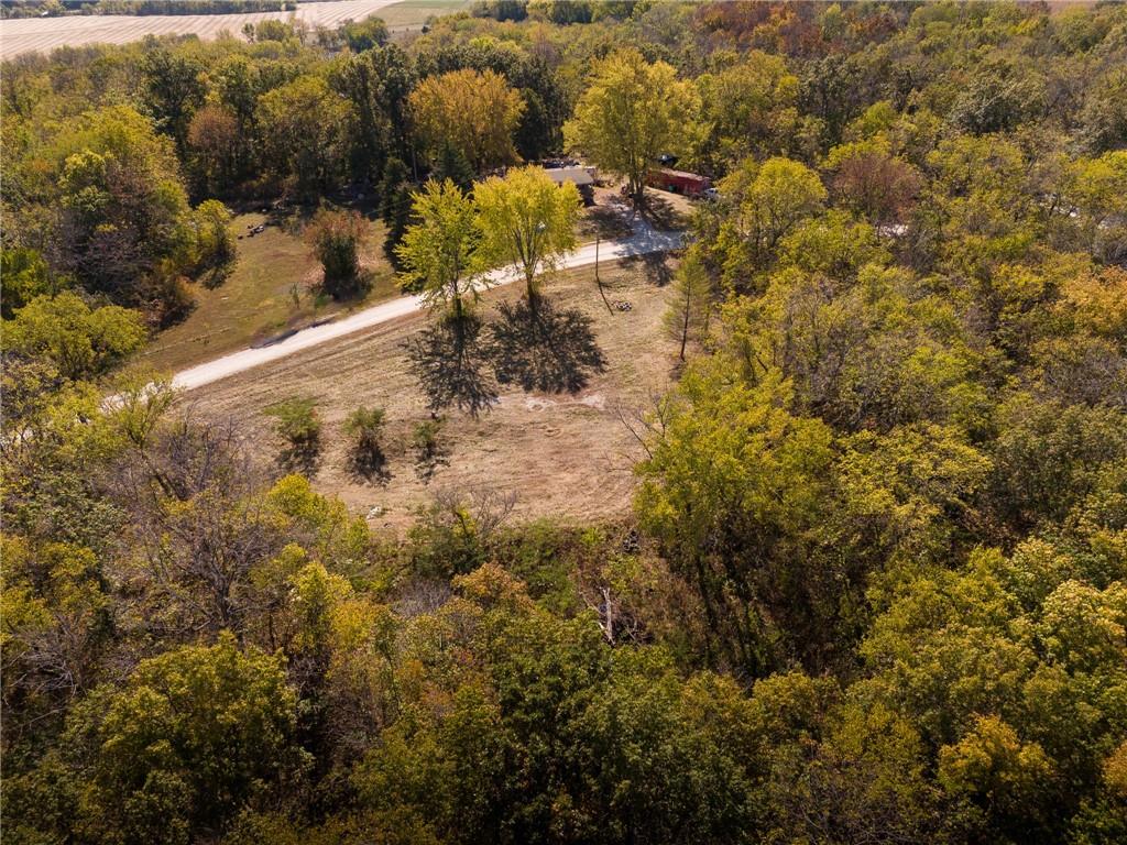 3697 Haynes Hill Road Property Photo 6