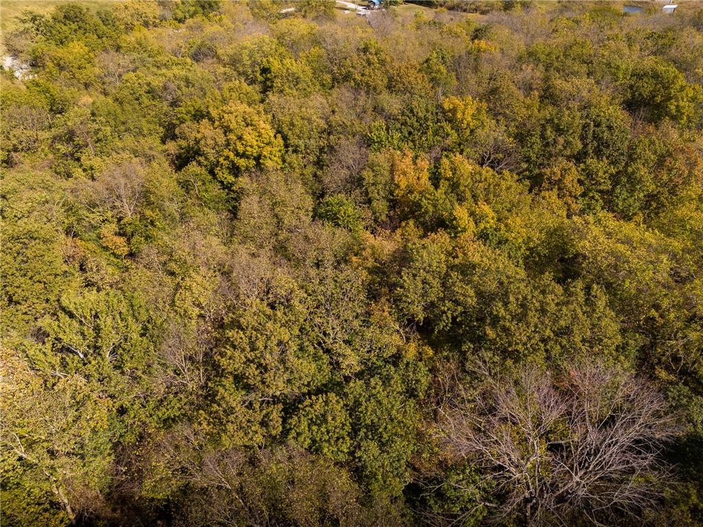 3697 Haynes Hill Road Property Photo 8