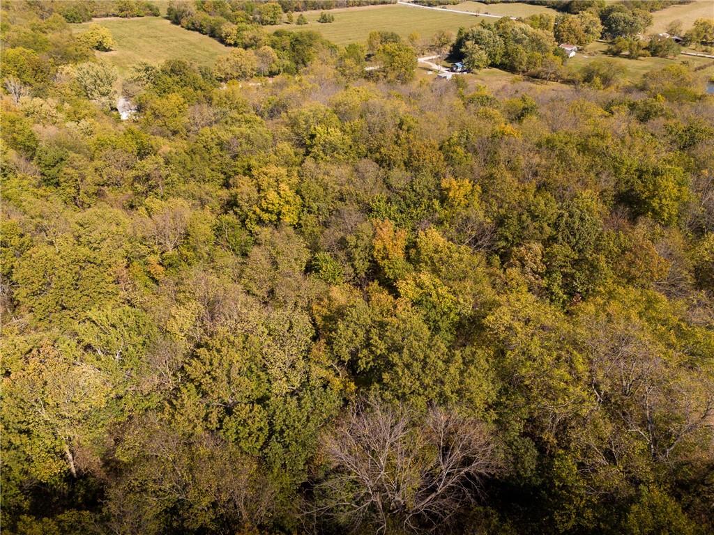 3697 Haynes Hill Road Property Photo 9