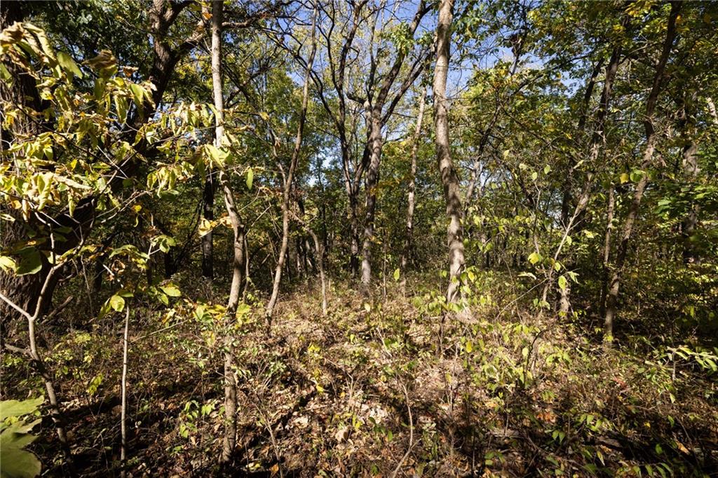 3697 Haynes Hill Road Property Photo 13