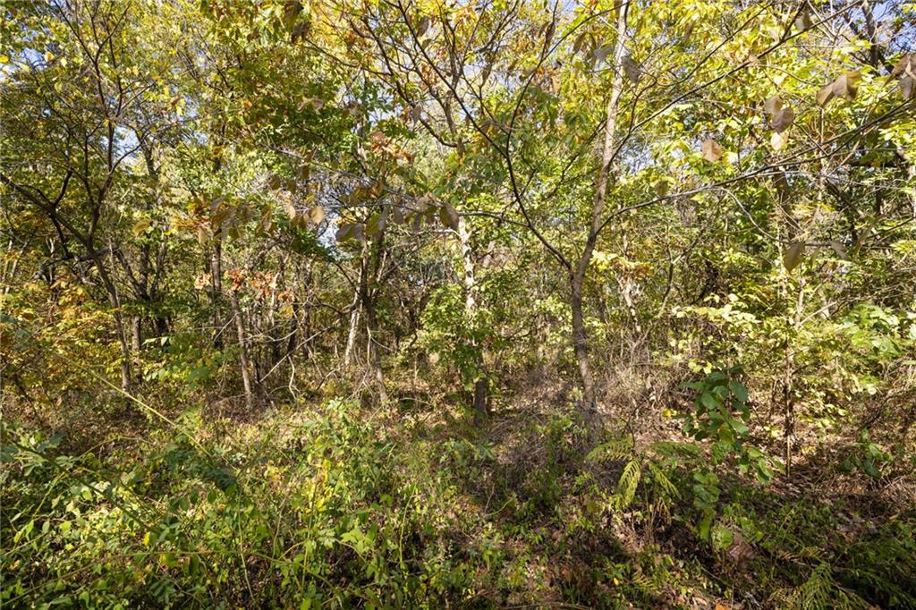 3697 Haynes Hill Road Property Photo 14
