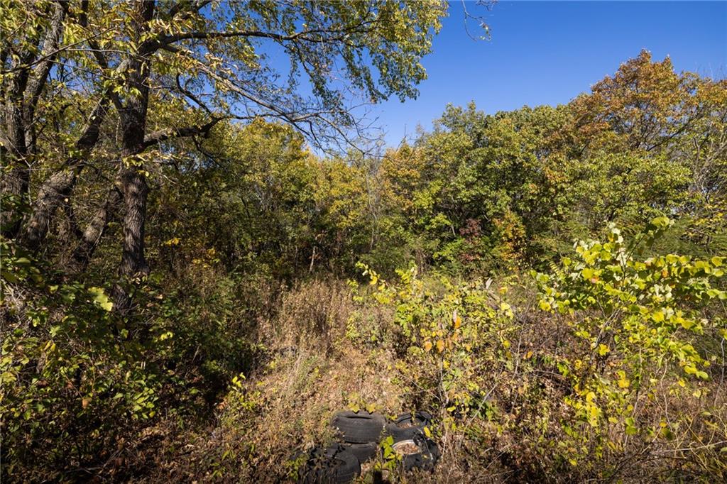 3697 Haynes Hill Road Property Photo 15