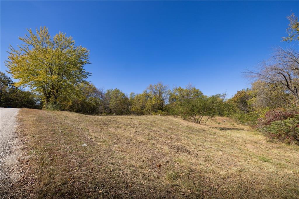 3697 Haynes Hill Road Property Photo 20