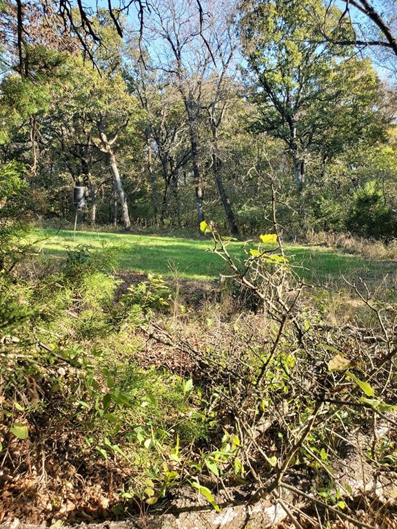 0 Hogback Road Property Photo 1