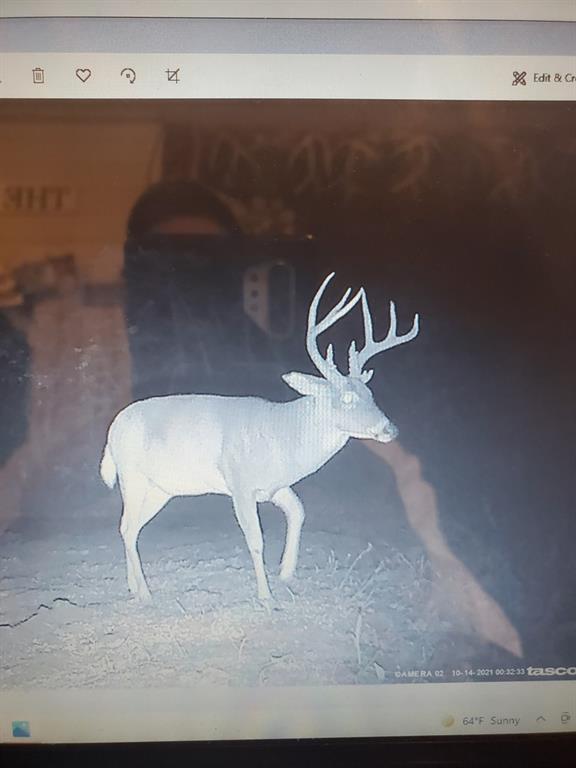 0 Hogback Road Property Photo 3