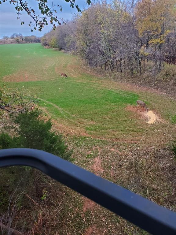 0 Hogback Road Property Photo 8