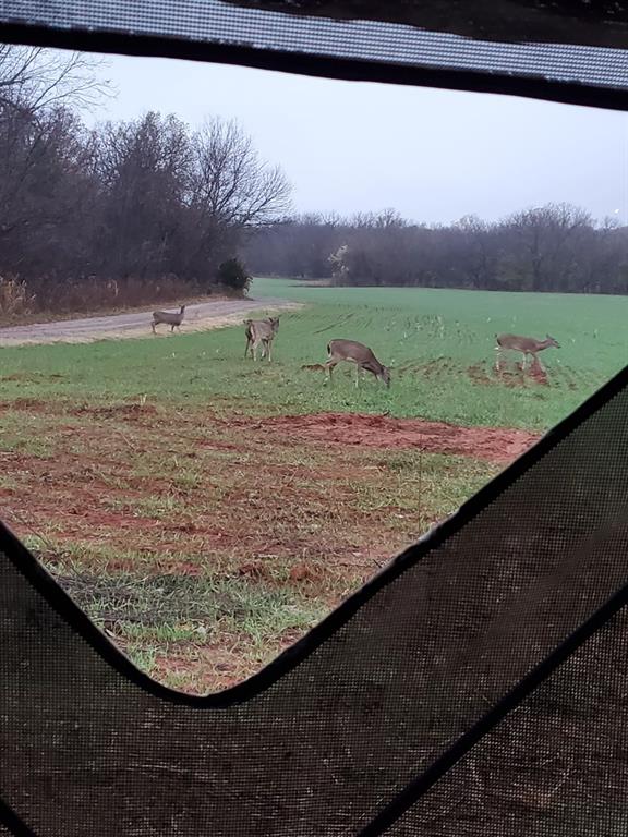 0 Hogback Road Property Photo 9