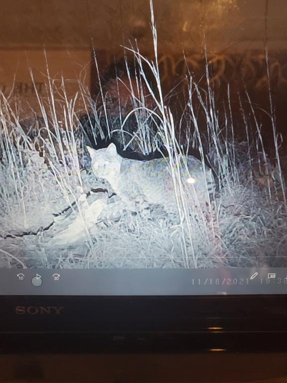 0 Hogback Road Property Photo 10